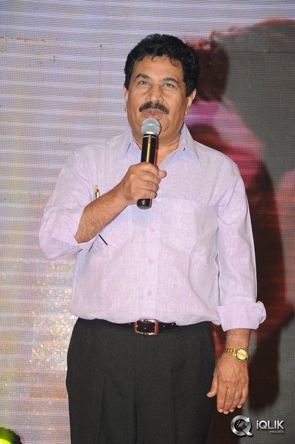 Hora-Hori-Movie-Audio-Launch